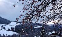 Winter am Steinerhof